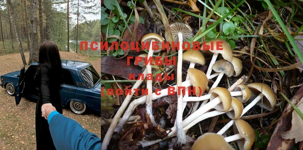 PSILOCYBIN Абинск