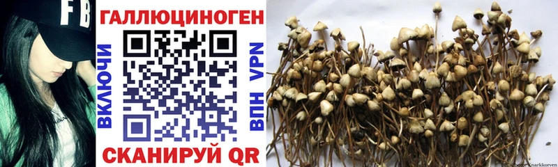 Псилоцибиновые грибы Cubensis  наркотики  Челябинск 